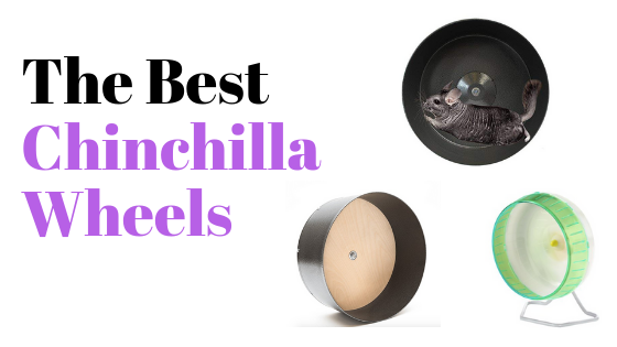 Best chinchilla wheels
