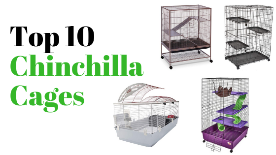 used chinchilla cage