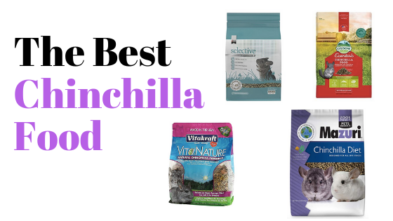 Best-Chinchilla-Food