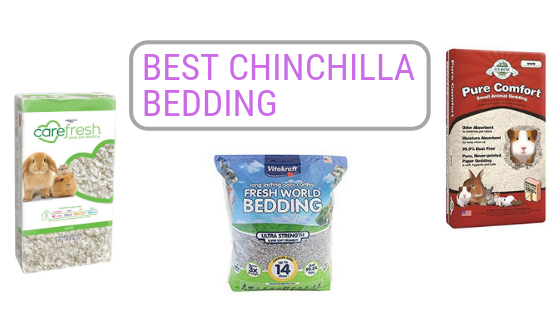 Best Chinchilla Bedding
