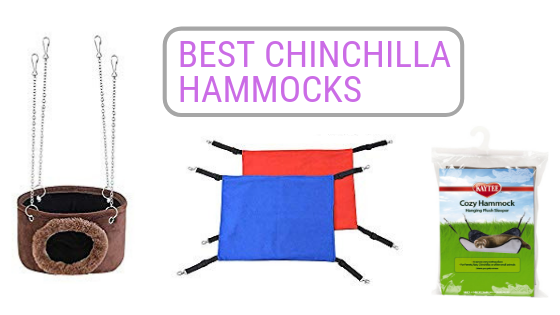 best chinchilla hammocks