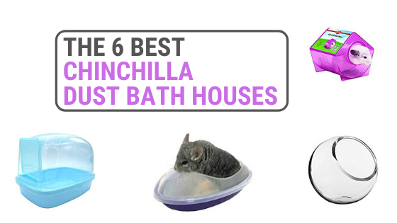 Best Chinchilla Dust Bath Houses